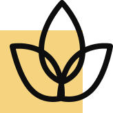 Global Luxury Access